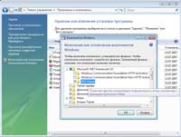 Windows 11