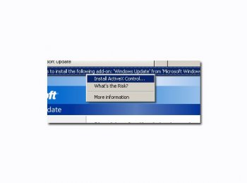 Элементы управления ActiveX
